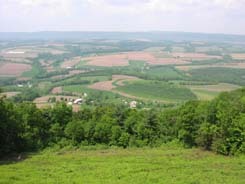 State Photo